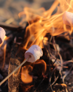 Marshmallow in Lagerfeuer