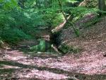  Beschädigungen im Naturschutzgebiet 