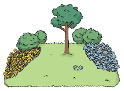 Baum auf einer Wiese