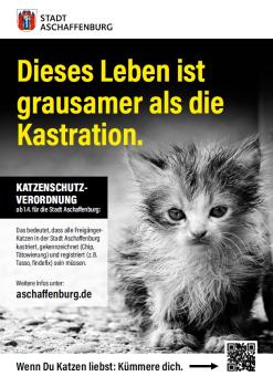 Plakat zur Katzenschutzverordnung