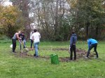 Mehrere Personen bei der Gartenarbeit