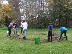 Mehrere Personen vor einem Gartenbeet