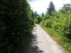 Bestehender Ringradweg