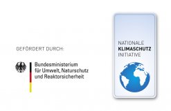  Logo des Bundesministeriums für Umwelt, Naturschutz und Reaktorsicherheit