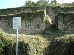 Blick auf die Weinbergsmauern am Bischberg