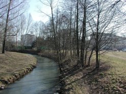 Aschaff in Damm