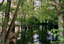 Am Ufer des Hannewackeldudelsees