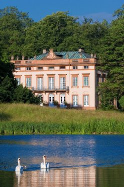 Blick über den See zum Schloss Schönbusch