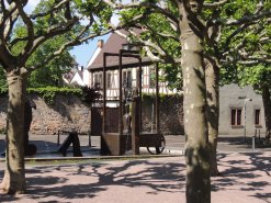 Wolfsthalplatz