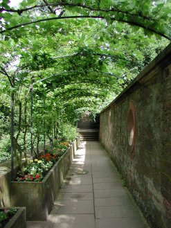 Bild vom Laubengang im Schlossgarten