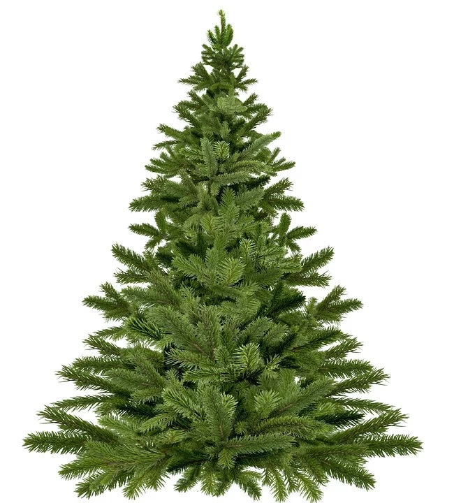 Weihnachtsbaum