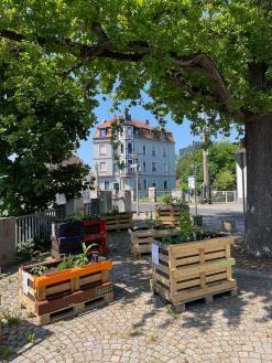 61_Aktuelles_2023-06-10_INITIATIVE-IMPRESS-Hochbeete-01k