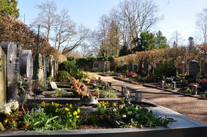 Bild vergr&ouml;&szlig;ern: Gräber auf dem Altstadtfriedhof