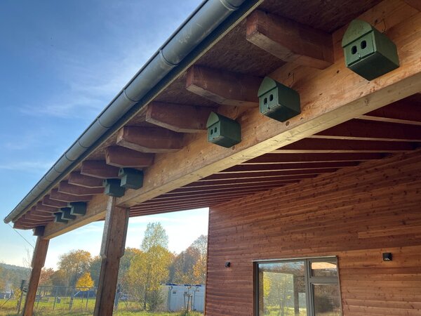 Bild vergr&ouml;&szlig;ern: Vogelfreundliches Gebäude mit Nistkästen