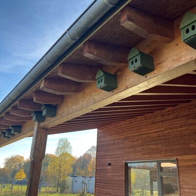 Bild vergr&ouml;&szlig;ern: Vogelfreundliches Gebäude mit Nistkästen