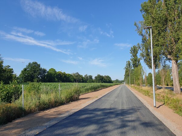 Bild vergr&ouml;&szlig;ern: Radweg B26 an der Darmstädter Straße