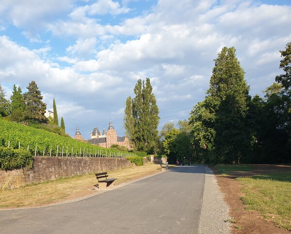 Bild vergr&ouml;&szlig;ern: 61_Rad_Neuigkeiten_2025-07-17Mainradweg-Pompejanum2