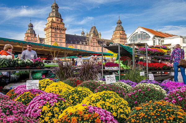 Wochenmarkt mit Verkaufsständen auf dem Schlossplatz 