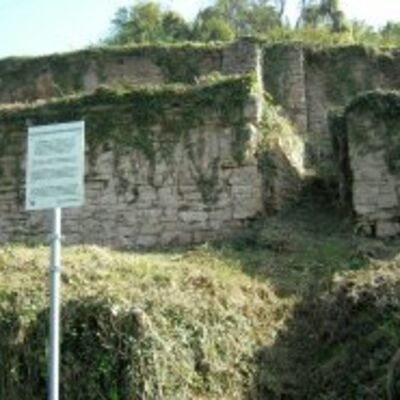 Weinbergsmauern am Bischberg-Westhang