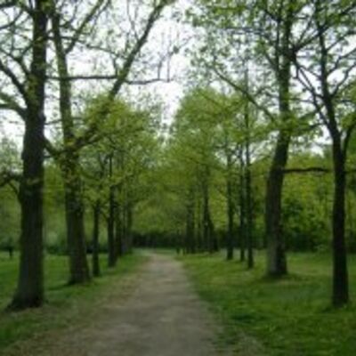 Esskastanienallee