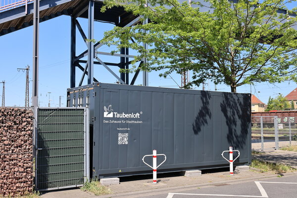 Am Regionalen Omnibusbahnhof (ROB) wurde ein Taubenloft aufgestellt. In einem umgebauten Schiffscontainer finden Tauben Futter und Brutplätze.