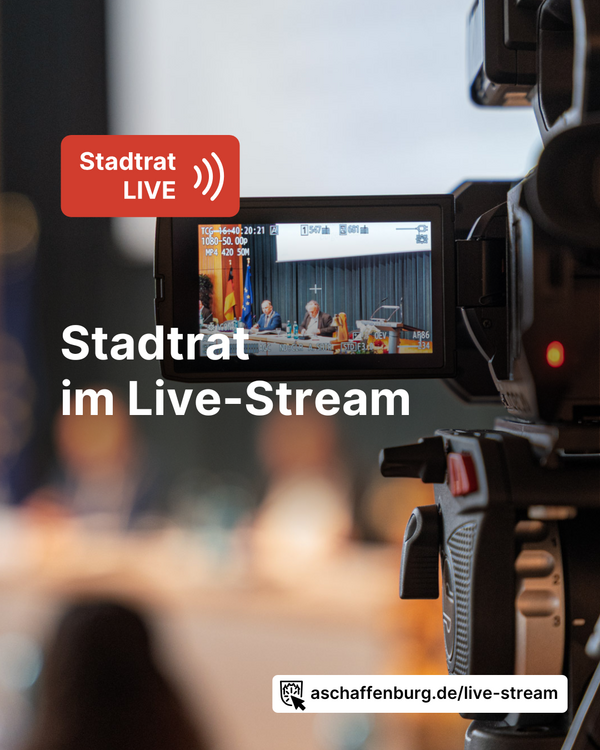 Stadtrat im Live-Stream