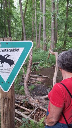 Bild vergr&ouml;&szlig;ern: Die Hügelbachquelle in Schweinheim, Blick über die Schulter einer Teilnehmerin am Klima-Rundgang.