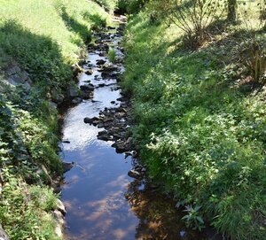 Bild vergr&ouml;&szlig;ern: Der Hensbach mit wenig Wasser