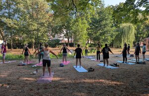 Bild vergr&ouml;&szlig;ern: Yoga - Bewegung im Park