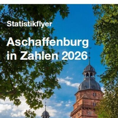Cover Statistik-Flyer