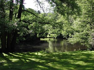 Bild vergr&ouml;&szlig;ern: See im Park Schöntal
