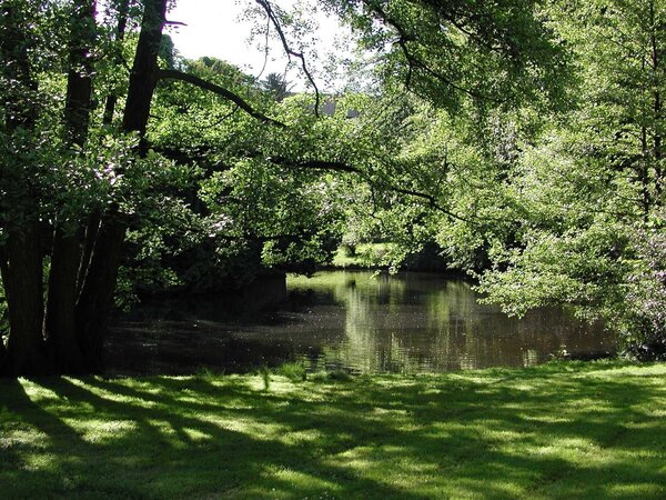 See im Park Schöntal