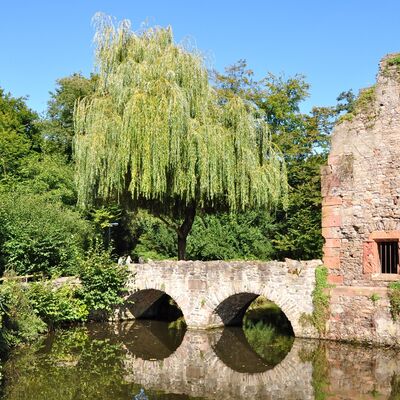 Bild vergr&ouml;&szlig;ern: Ruine im Park Schöntal
