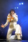 "Las Vegas Elvis Revival Show" 