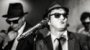 Original Blues Brothers Tribute Show
 
